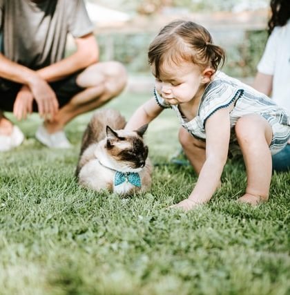 Medical Insurance when Unemployed