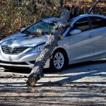 how much does auto insurance cost in South Africa