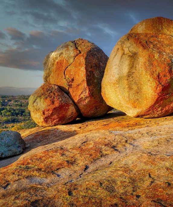 Insurance 5 Year Tp Means.