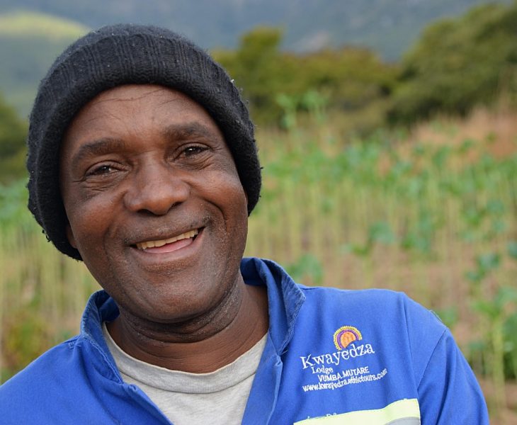 Insurance 6 20 License.