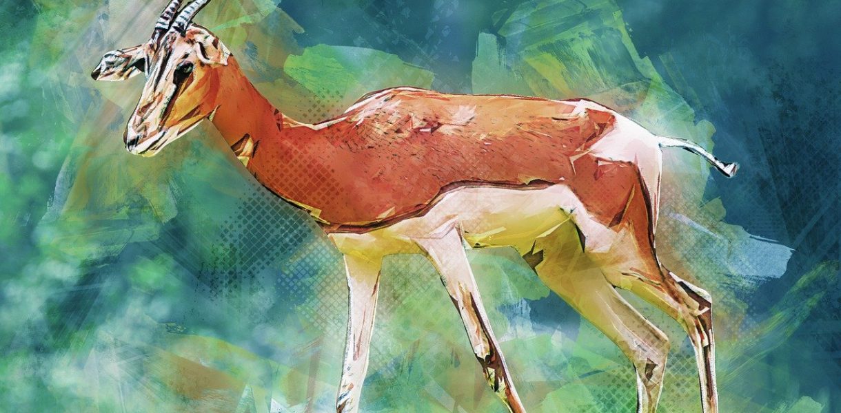 Insurance Institute of Zimbabwe Photos