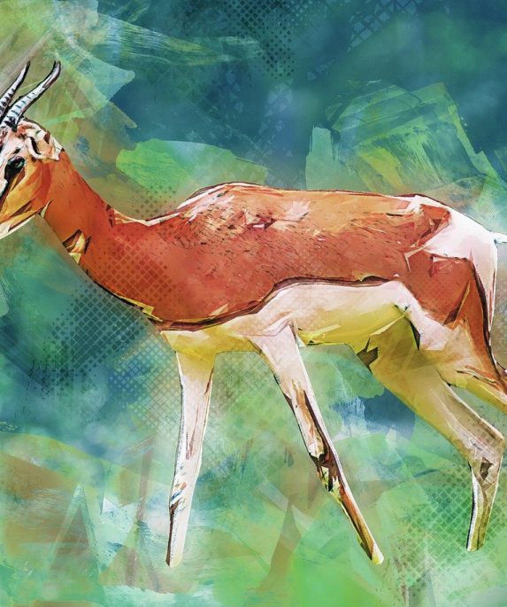 Insurance Institute of Zimbabwe Photos